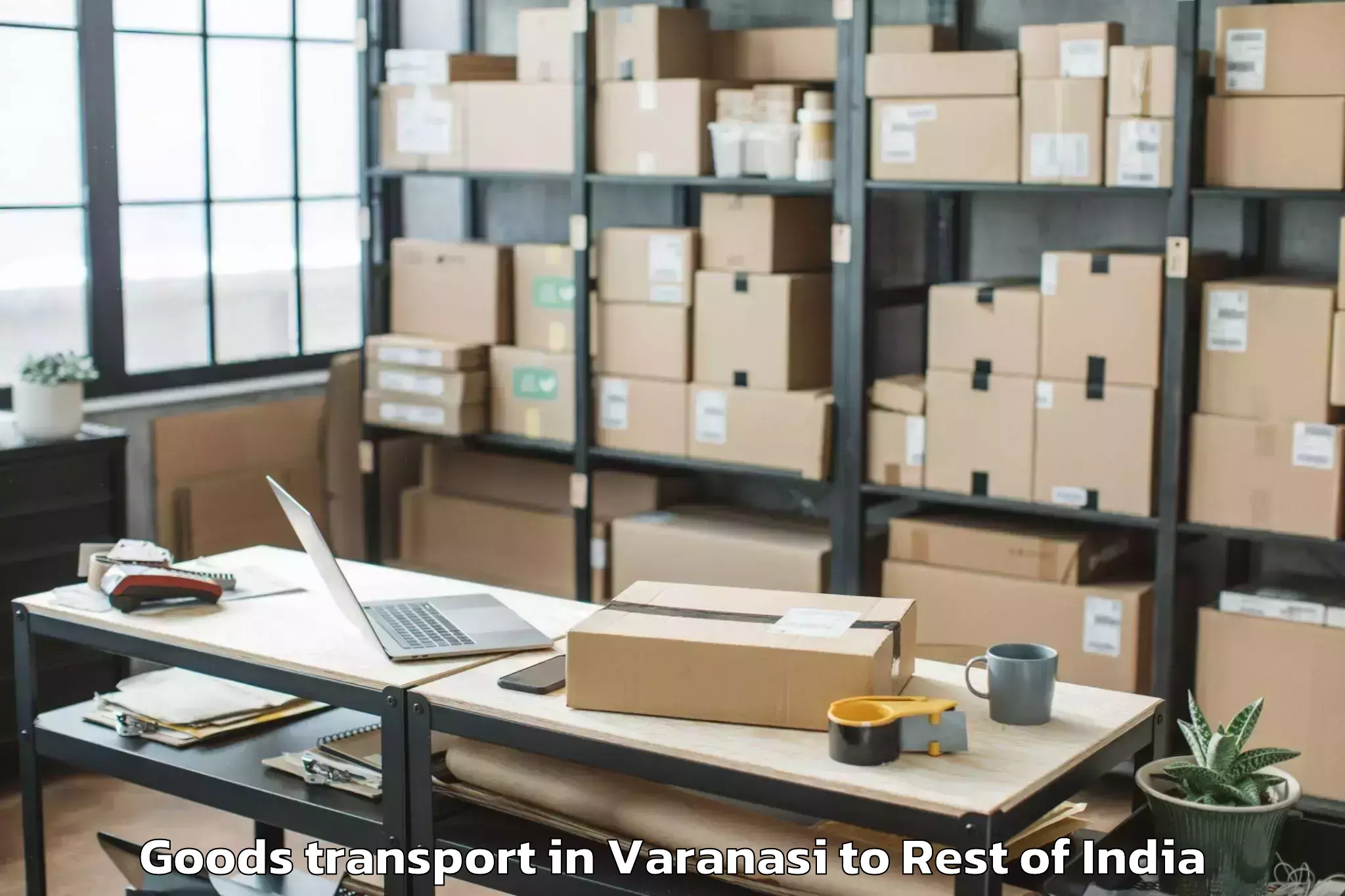 Top Varanasi to Malarna Dungar Goods Transport Available